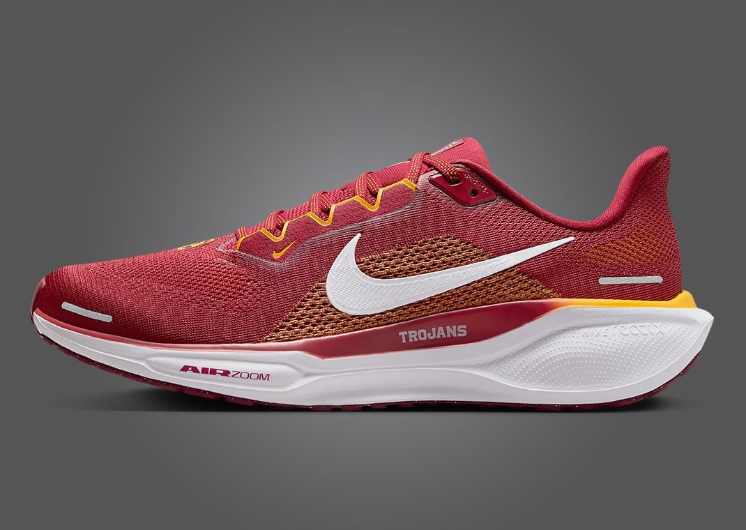 Nike Zoom Pegasus 41 USC