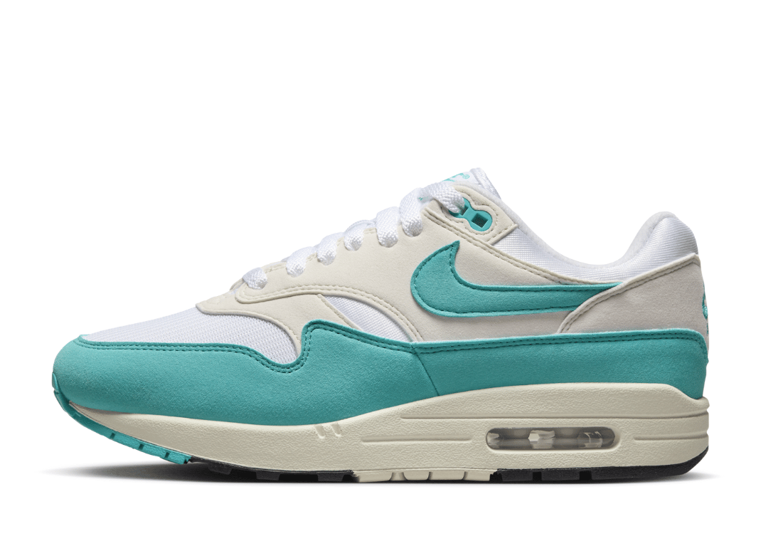 Nike Air Max 1 Dusty Cactus