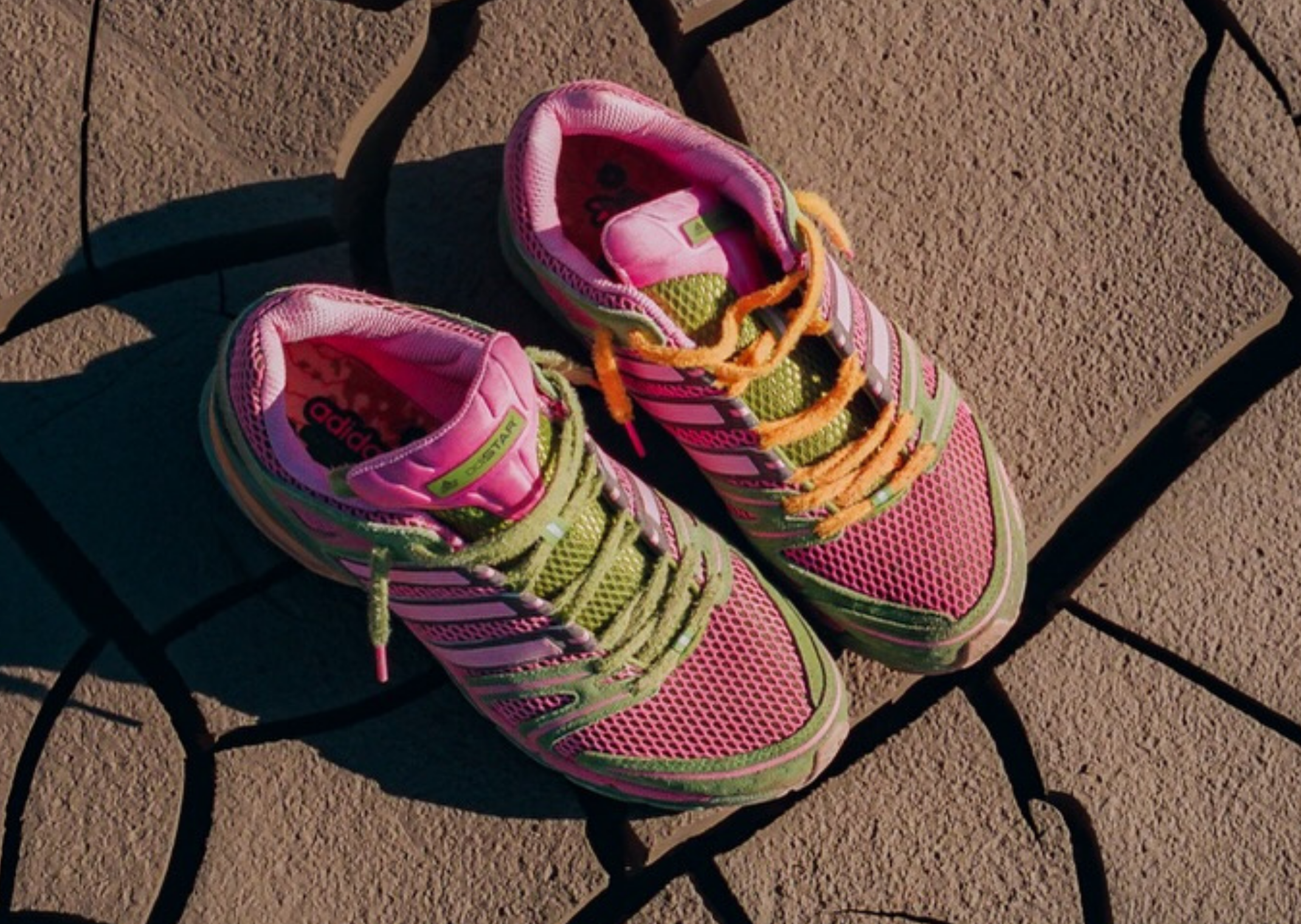 Tipping Point Coffee x adidas Adistar Control 5 Cactus Flower