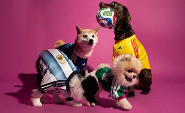 Your Dog Can Celebrate the World Cup Thanks to adidas Pet Jersey Collection