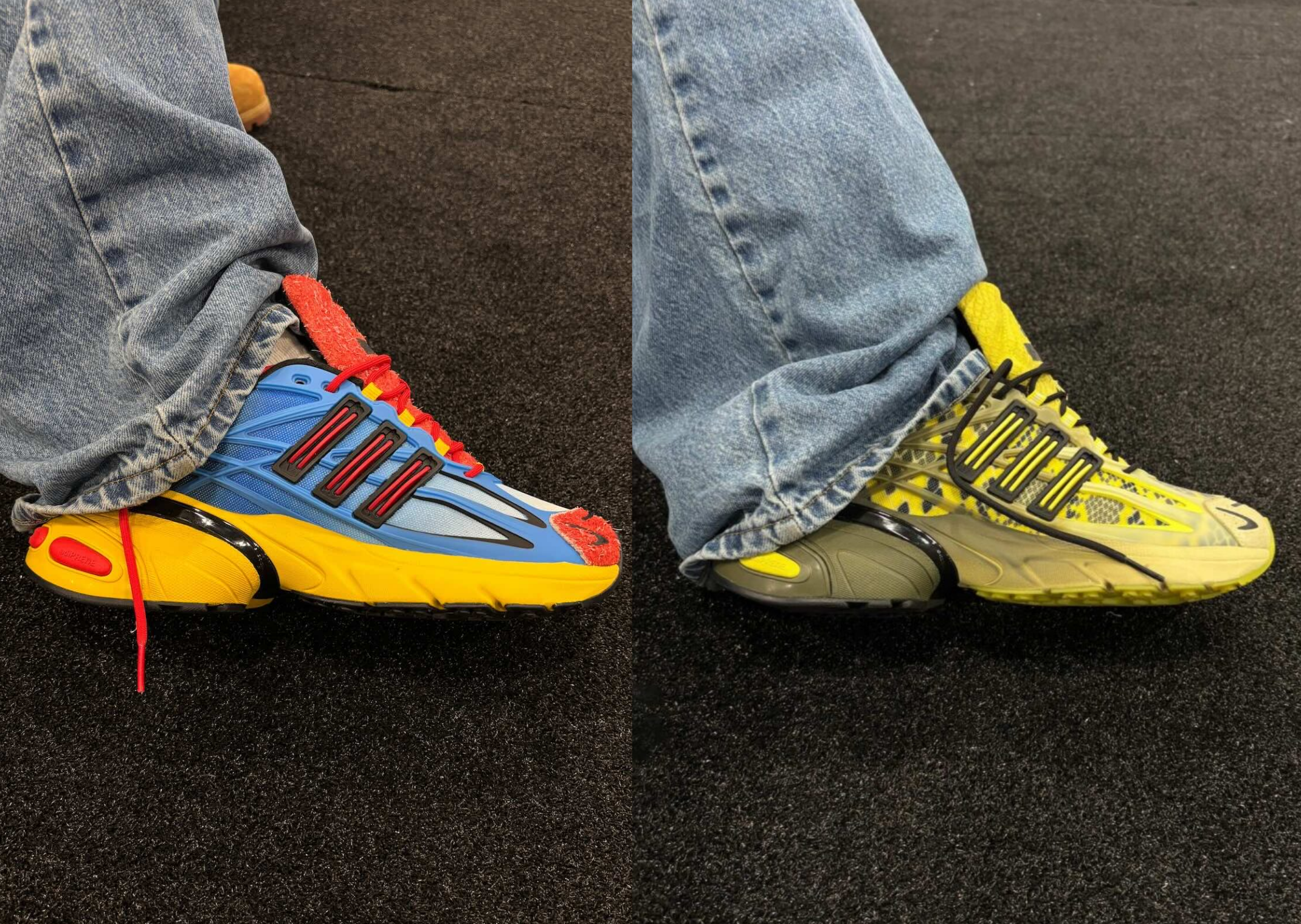 Shake x adidas Adistar XLG 2.0 Wild Rivals Pack