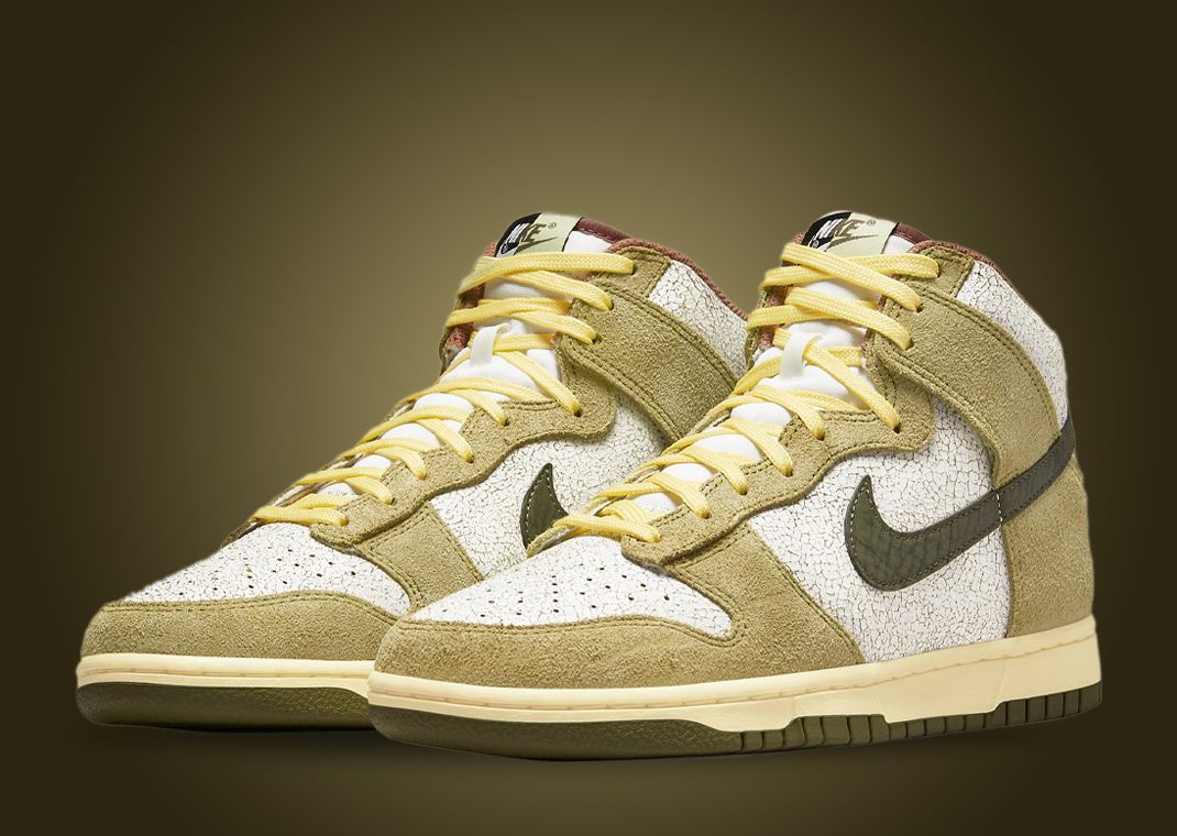 Nike Dunk High "Re-Raw"