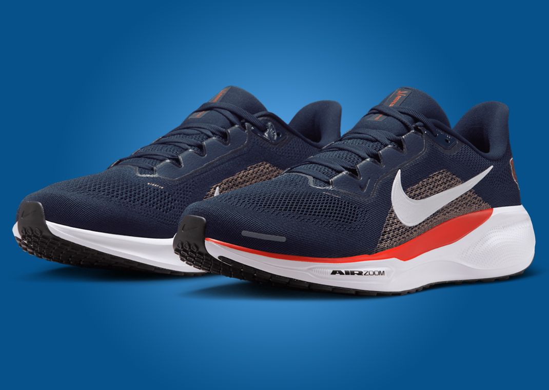 NFL x Nike Pegasus 41 Chicago Bears Angle