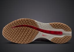 Nike Pegasus Premium Now and Then - Bottom