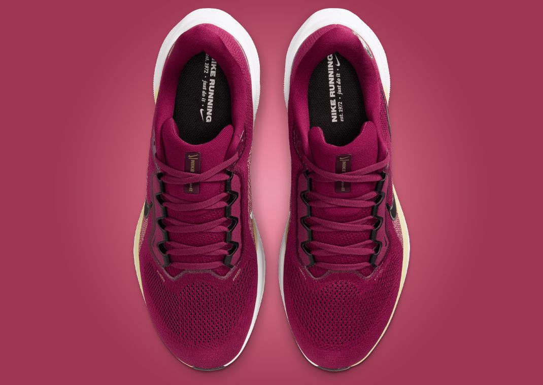 NCAA x Nike Pegasus 41 FSU Top