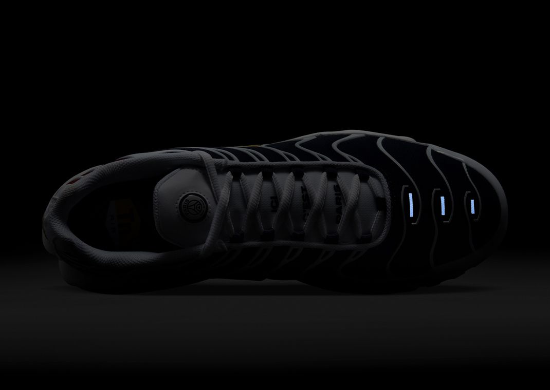 Paris Saint-Germain x Nike Air Max Plus 3M