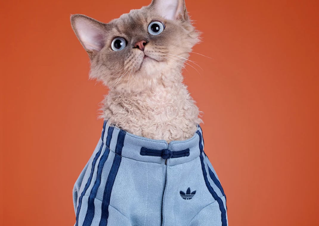 adidas Chinese New Year Pet Collection