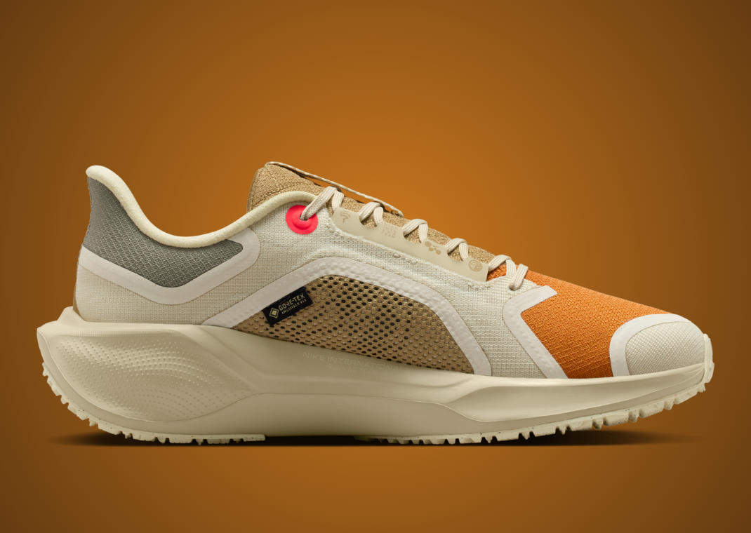 Nike Pegasus 41 Gore-Tex Running Poets - Medial