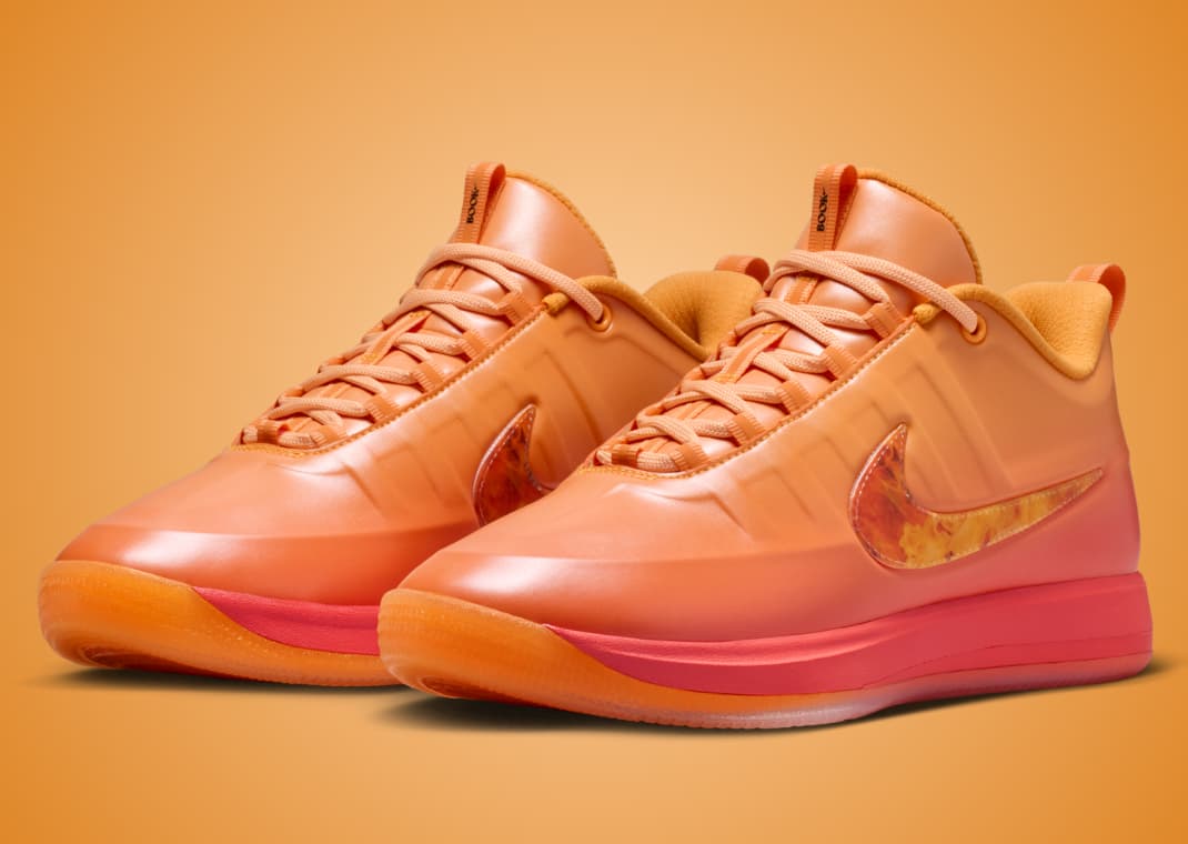 The Nike Book 2 Phoenix Rises From the Ashes