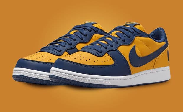 The Nike Terminator Low OG Michigan Drops June 13