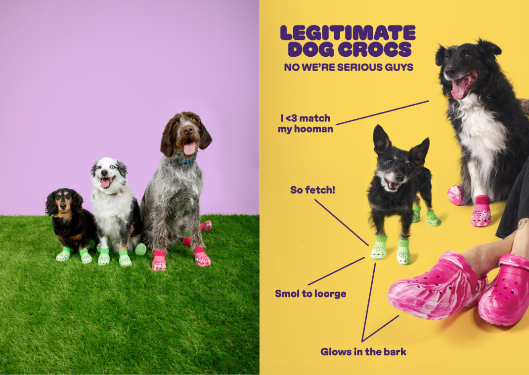 Crocs is Launching Pet Crocs for Dogs