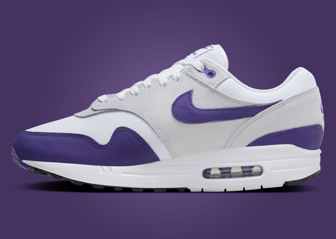 Nike Air Max 1 Field Purple Medial