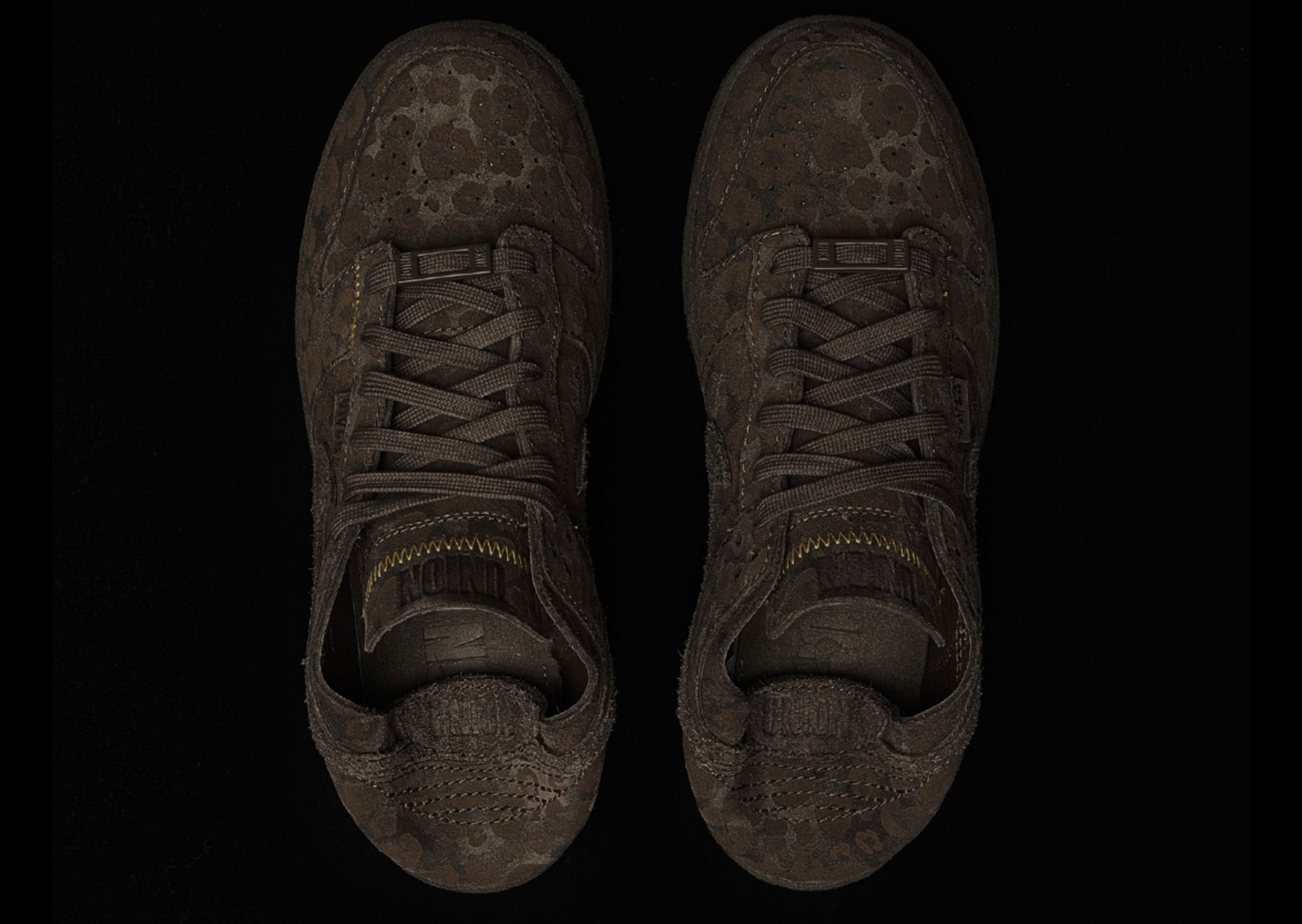 Union x Nike Dunk Low Natural Selection Palomino Top