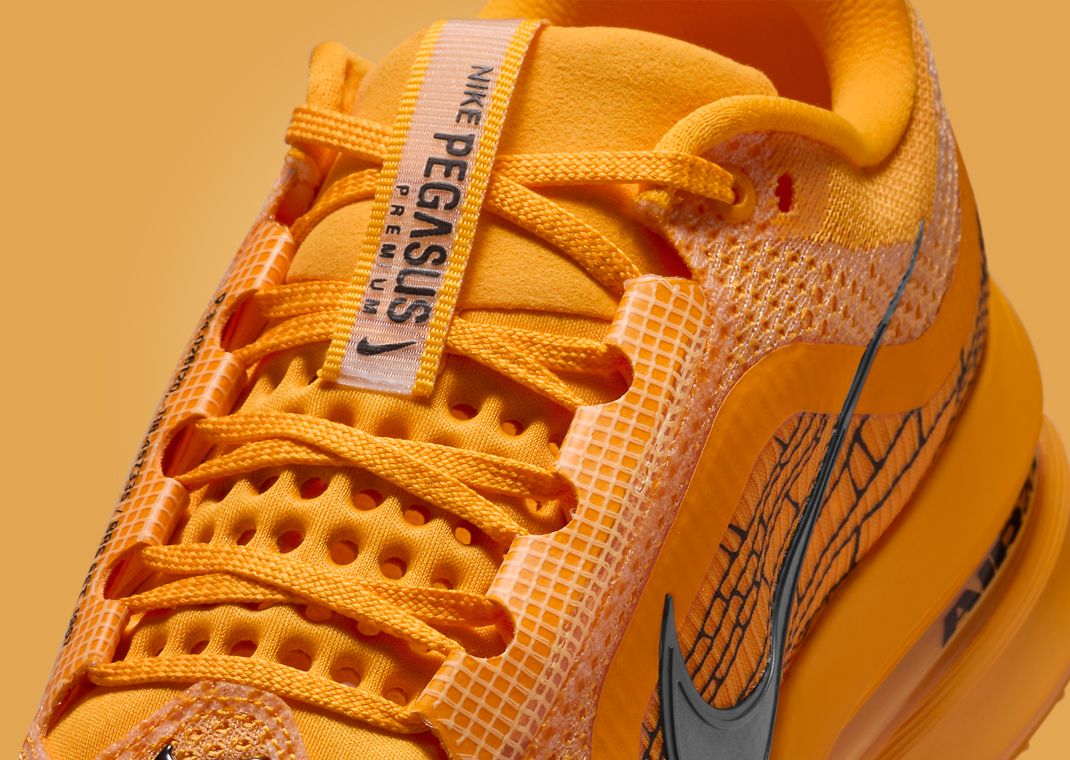 Nike Pegasus Premium Modern Mayfly Detail