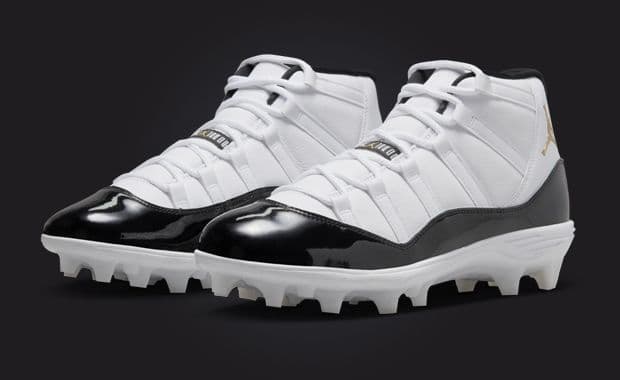 Air Jordan 11 Mid TD Cleat Gratitude