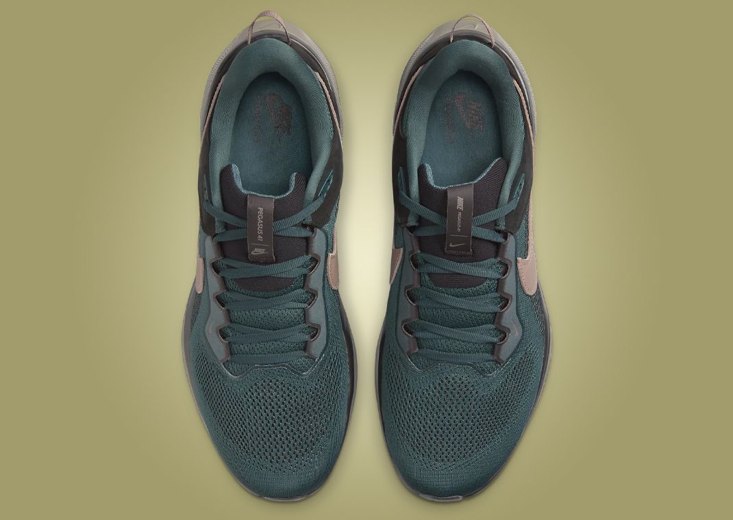 Nike Zoom Pegasus 41 SP Faded Spruce Top