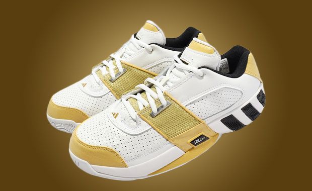 gilbert arenas basketball shoes