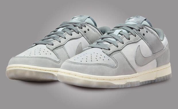 Nike Dunk Low Smoke Dunk (W)