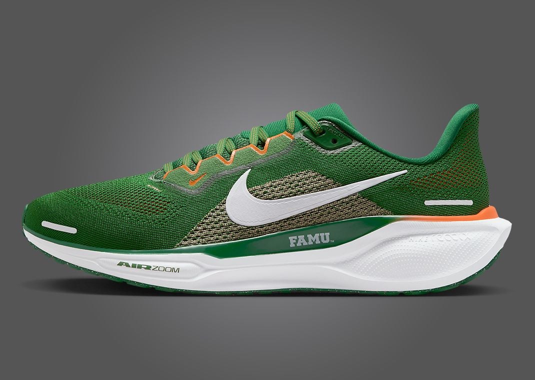 Nike Zoom Pegasus 41 FAMU