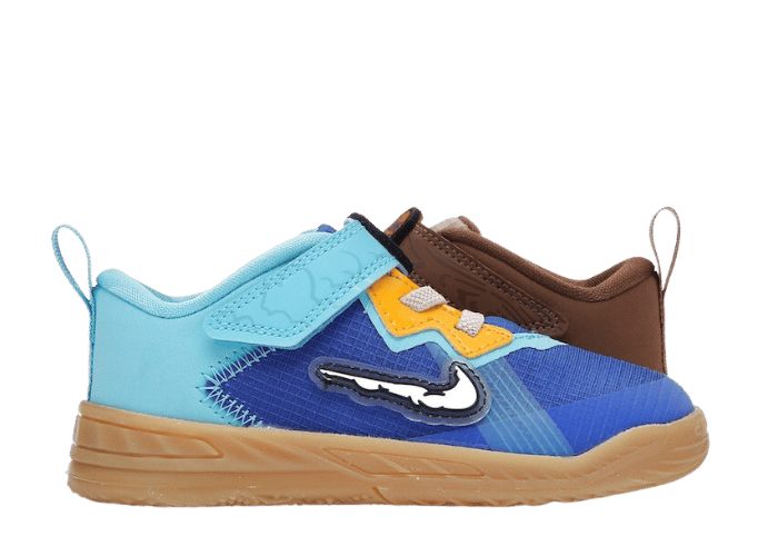 Nike LeBron 18 Low Wile vs Roadrunner Space Jam (TD) DJ3762-401 - Main Image