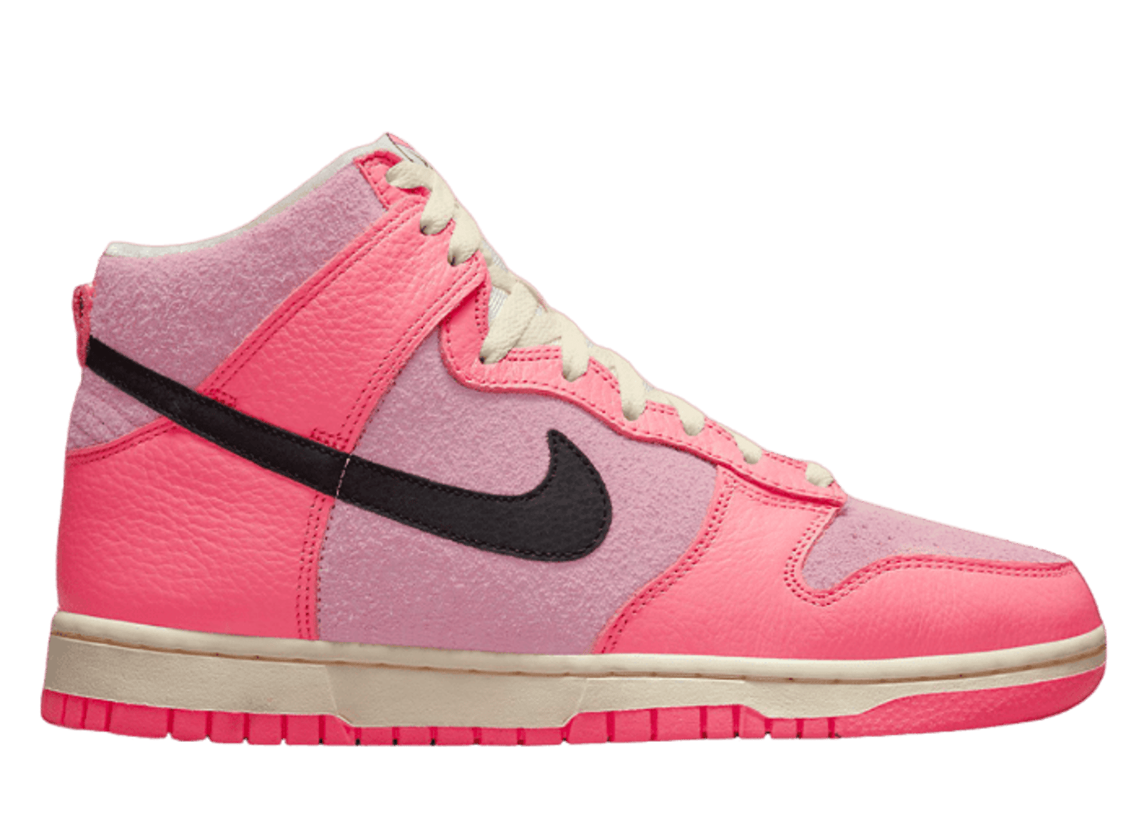 Nike Dunk High Hoops (W)