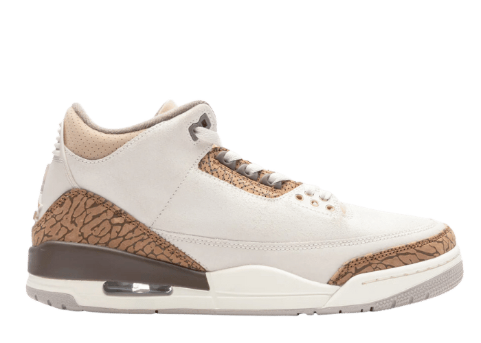 Air Jordan 3 Retro Light Orewood Brown (GS)