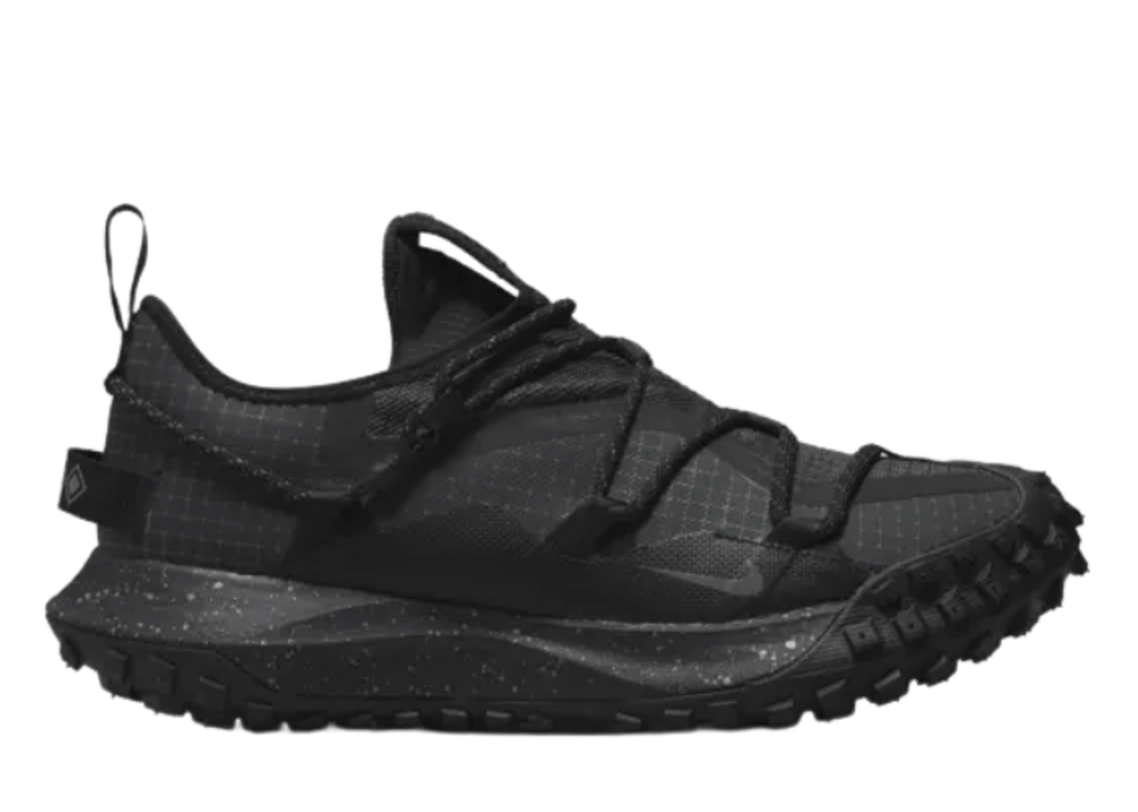 Nike ACG Mountain Fly Low Gore-Tex SE Dark Smoke Grey