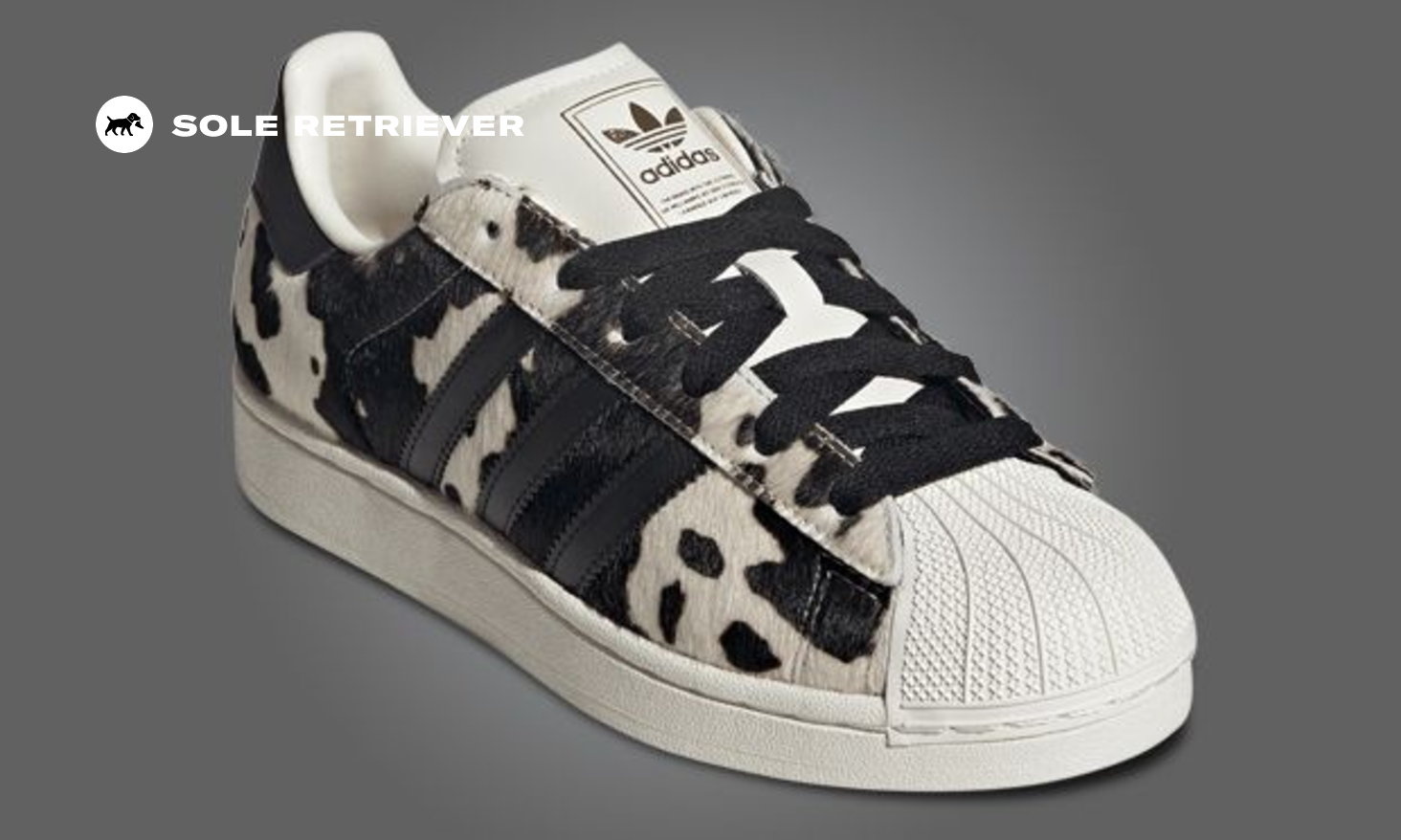 The Women's Exclusive adidas Superstar Cow Releases August 2025