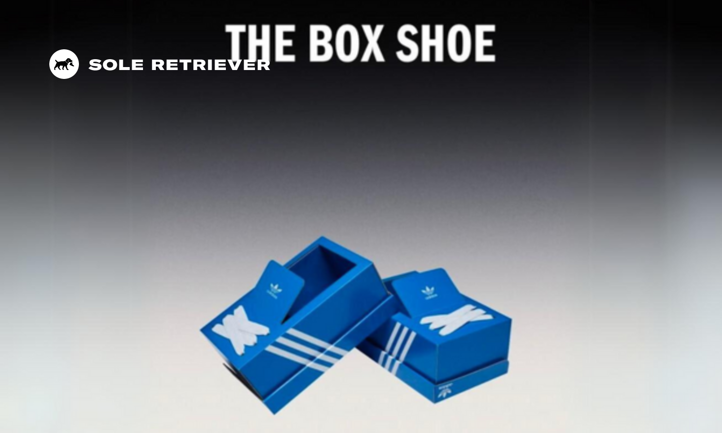 adidas-the-box-shoes-release-