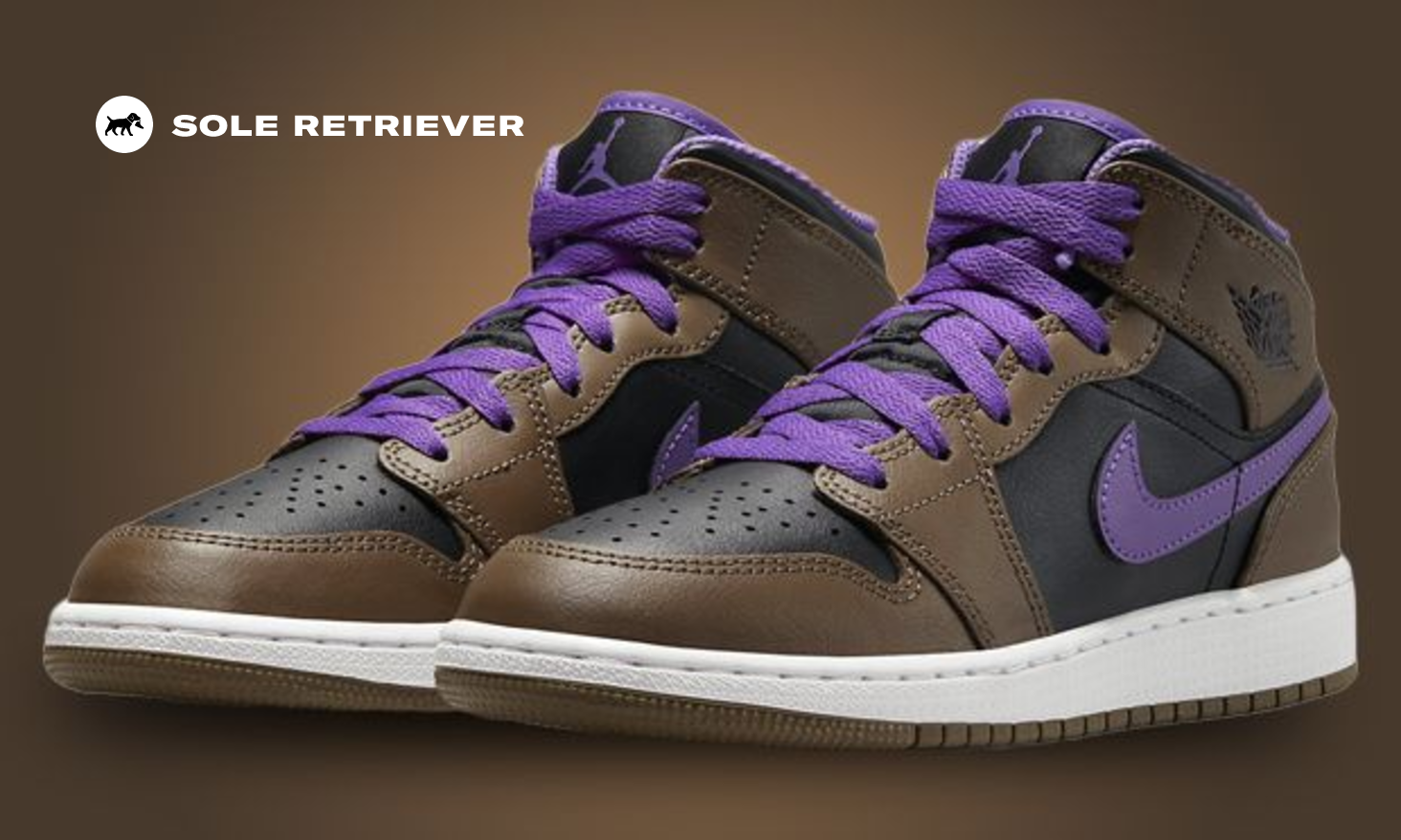 air-jordan-1-mid-palomino-wild
