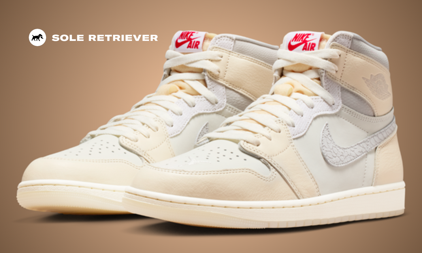 The Air Jordan 1 Retro High OG Sail Elephant Print Releases