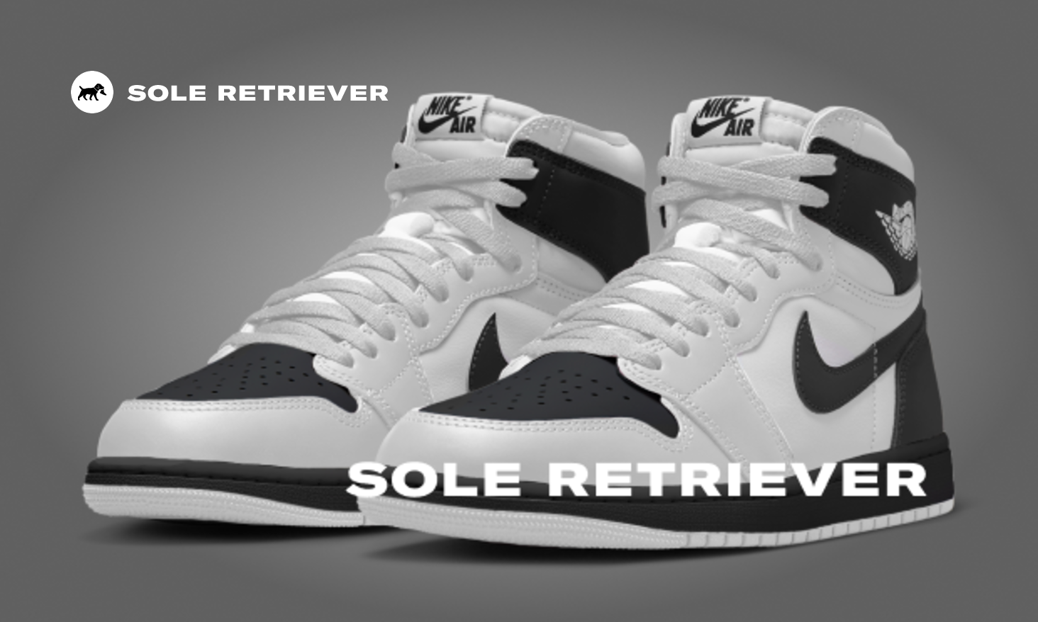 The Air Jordan 1 Retro High OG White Black Has Been Canceled