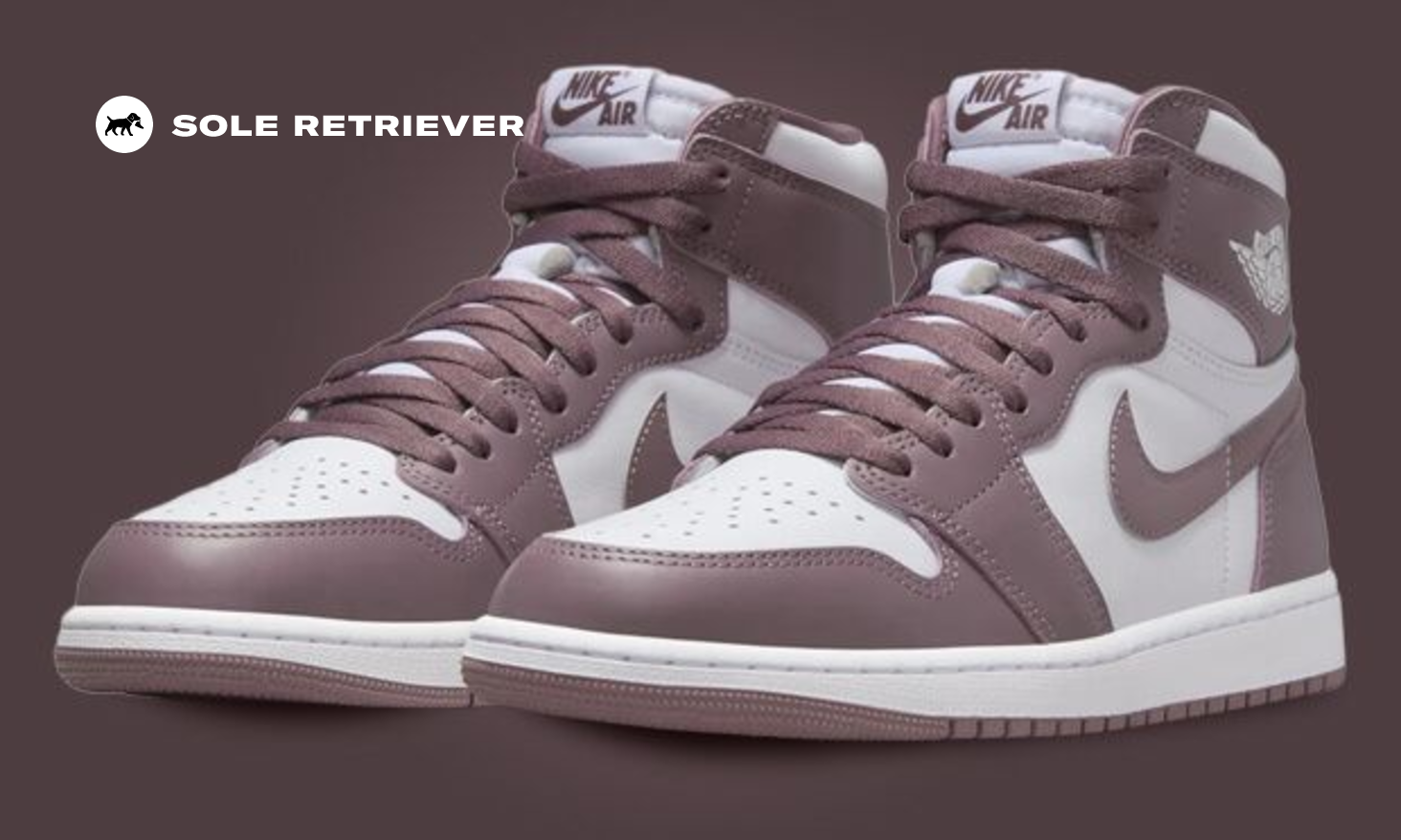 The Air Jordan 1 High Sky J Mauve Releases In October