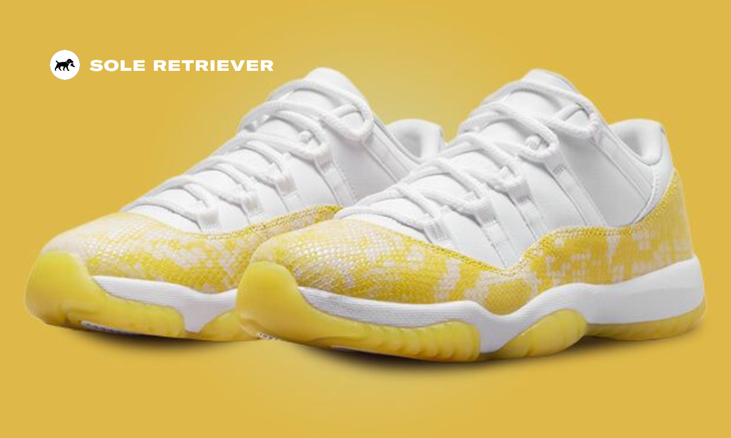 スニーカー Nike Air Jordan 11 Retro Low Yellow Snakeskin Air Jordan 11 Retro Low Yellow Snakeskin - APLUG – APLUG PL