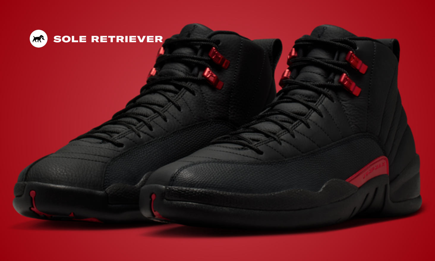 Acknowledge the Official Images of the Air Jordan 12 Retro Bloodline
