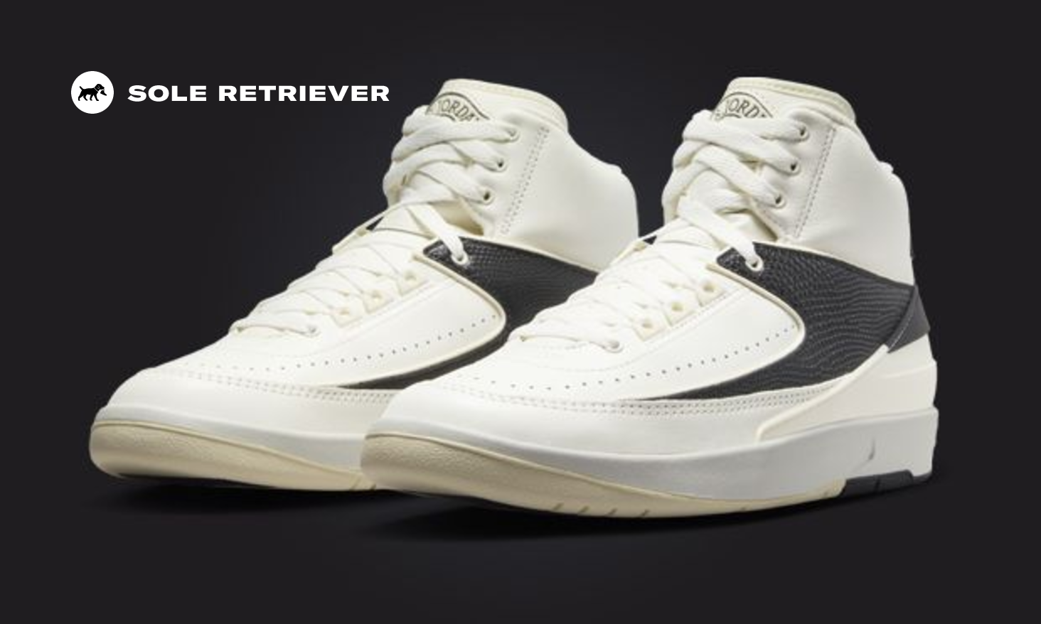 AIR JORDAN 2 RETRO \