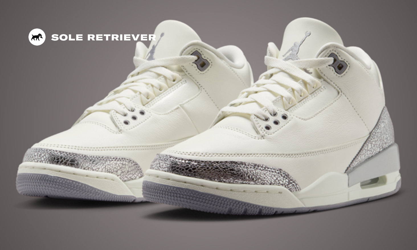 スニーカー Air Jordan 3 Retro T W Sneaker Air Jordan 3 Retro T W Sneaker (Fossil, Sail & Starfish