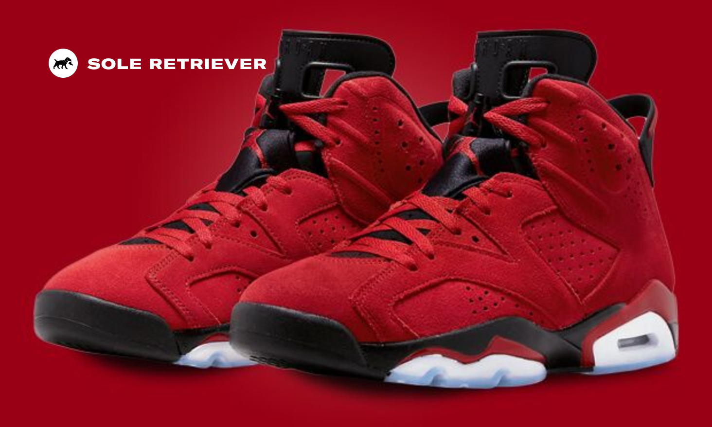 Nike Air Jordan Retro VI 6 Retro Hare CT8529-062 Men's Size