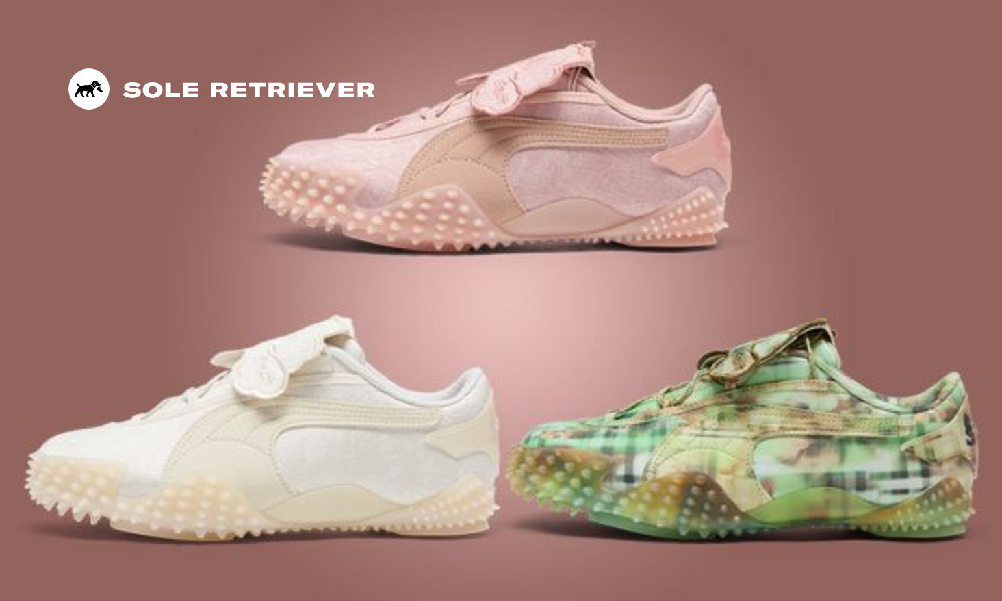 collina-strada-puma-mostro-