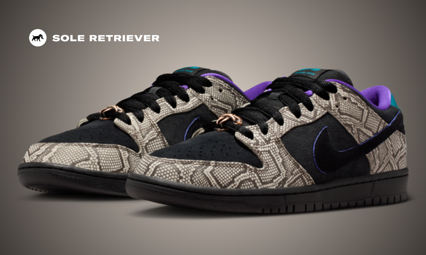 The Dashawn Jordan x Nike SB Dunk Low Releases March 2026