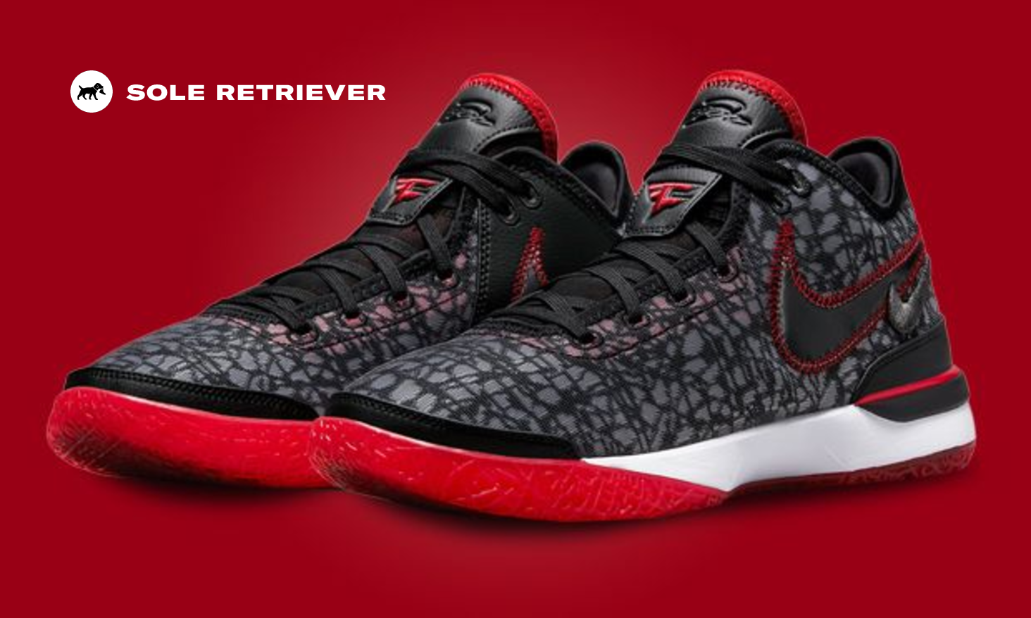 faze-nike-zoom-lebron-nxxt-gen