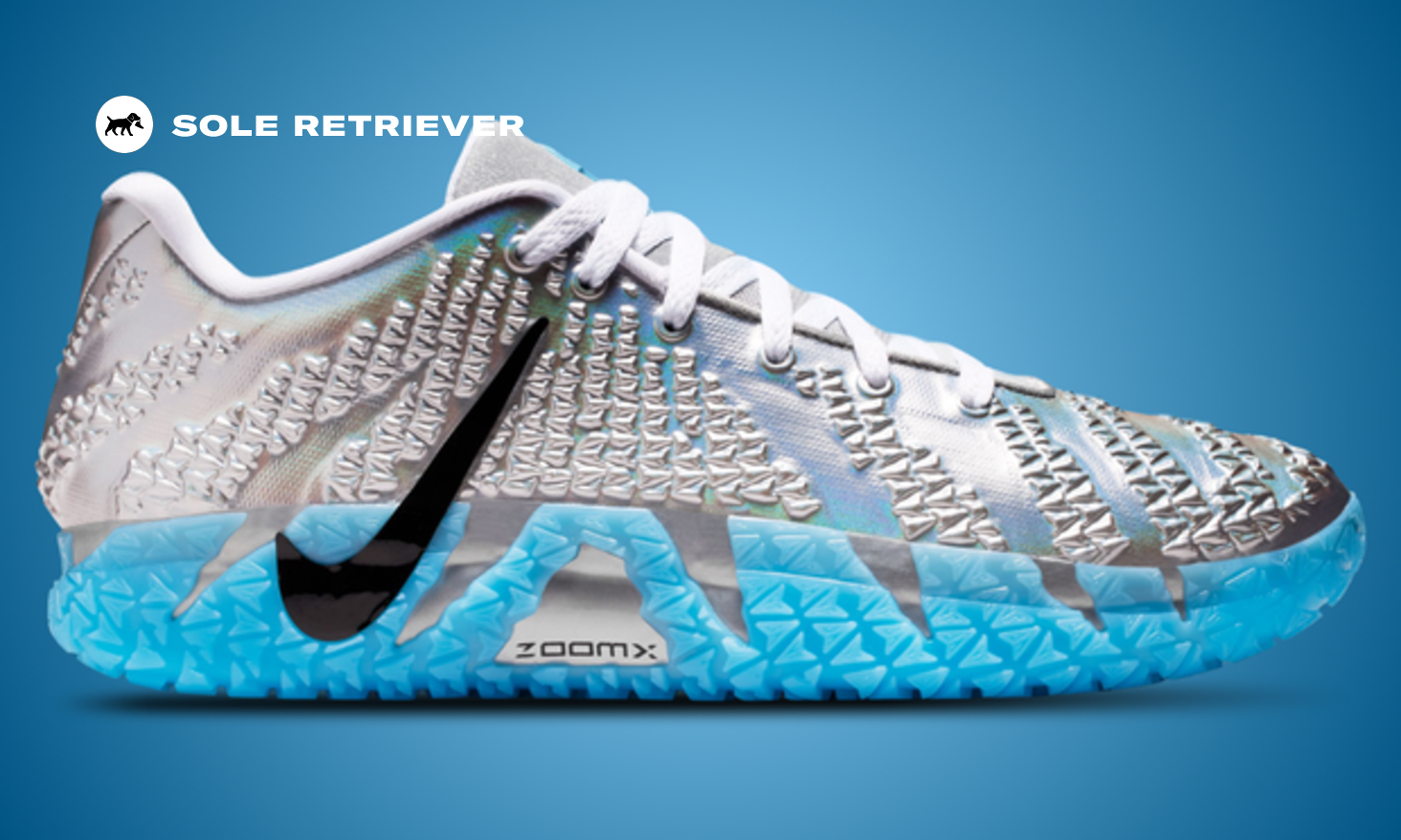Ja-rassic World: The Silver Pair from the Jurassic Park x Nike Ja
