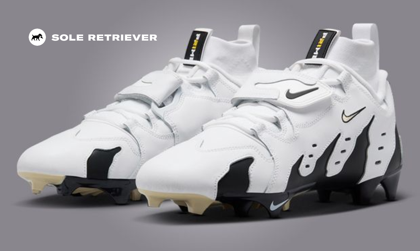 ととろ nike-air-dt-max-96-colorado-