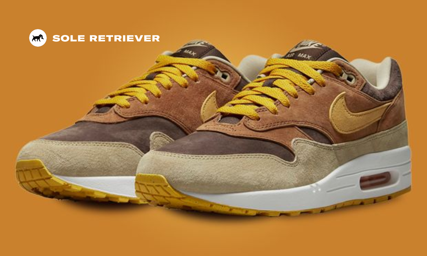 nike-air-max-1-ugly-duckling-