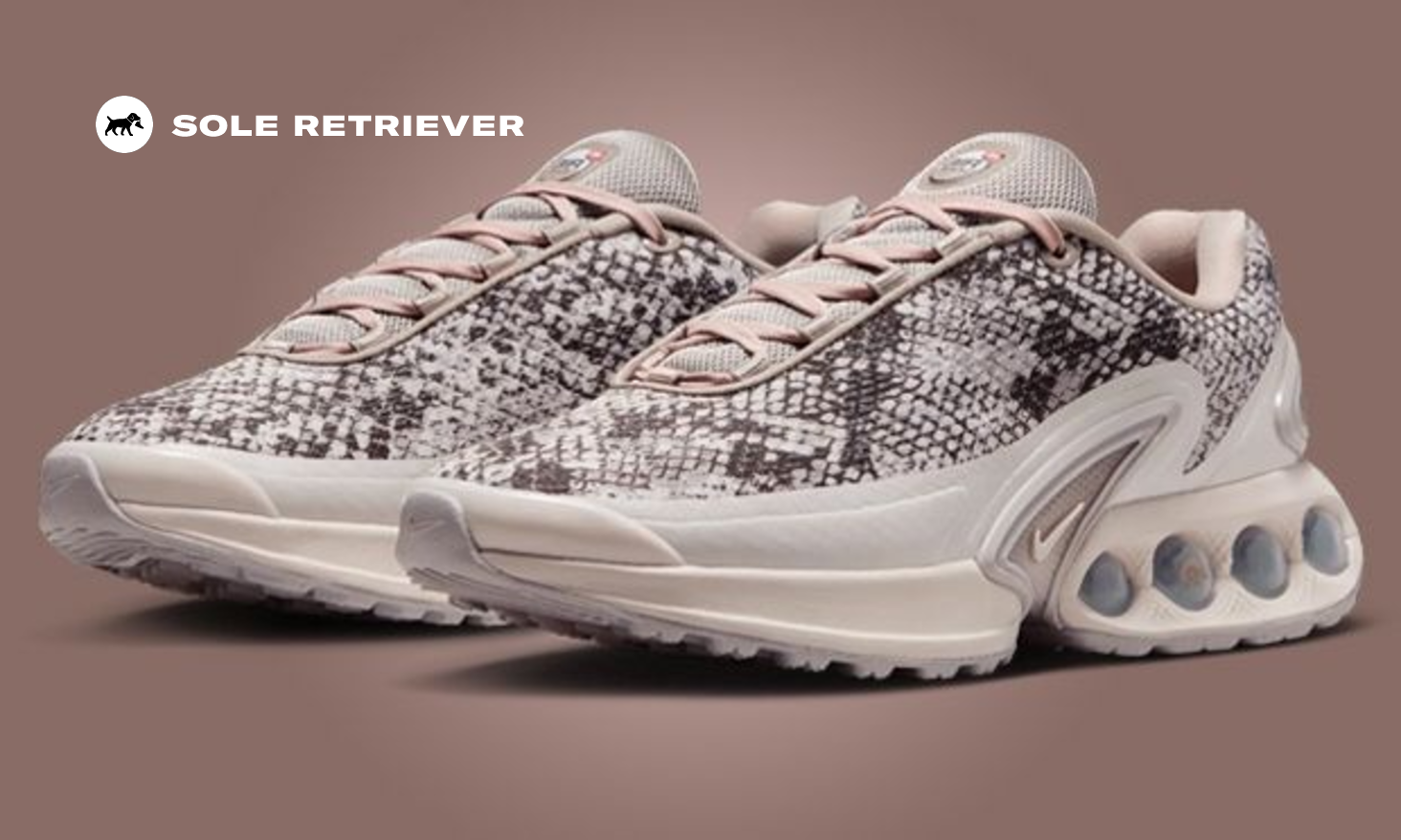 専用　海外限定 NIKE AIR MAX Dn SNAKE SKIN 27.5 nike-air-max-dn-snakeskin-w-