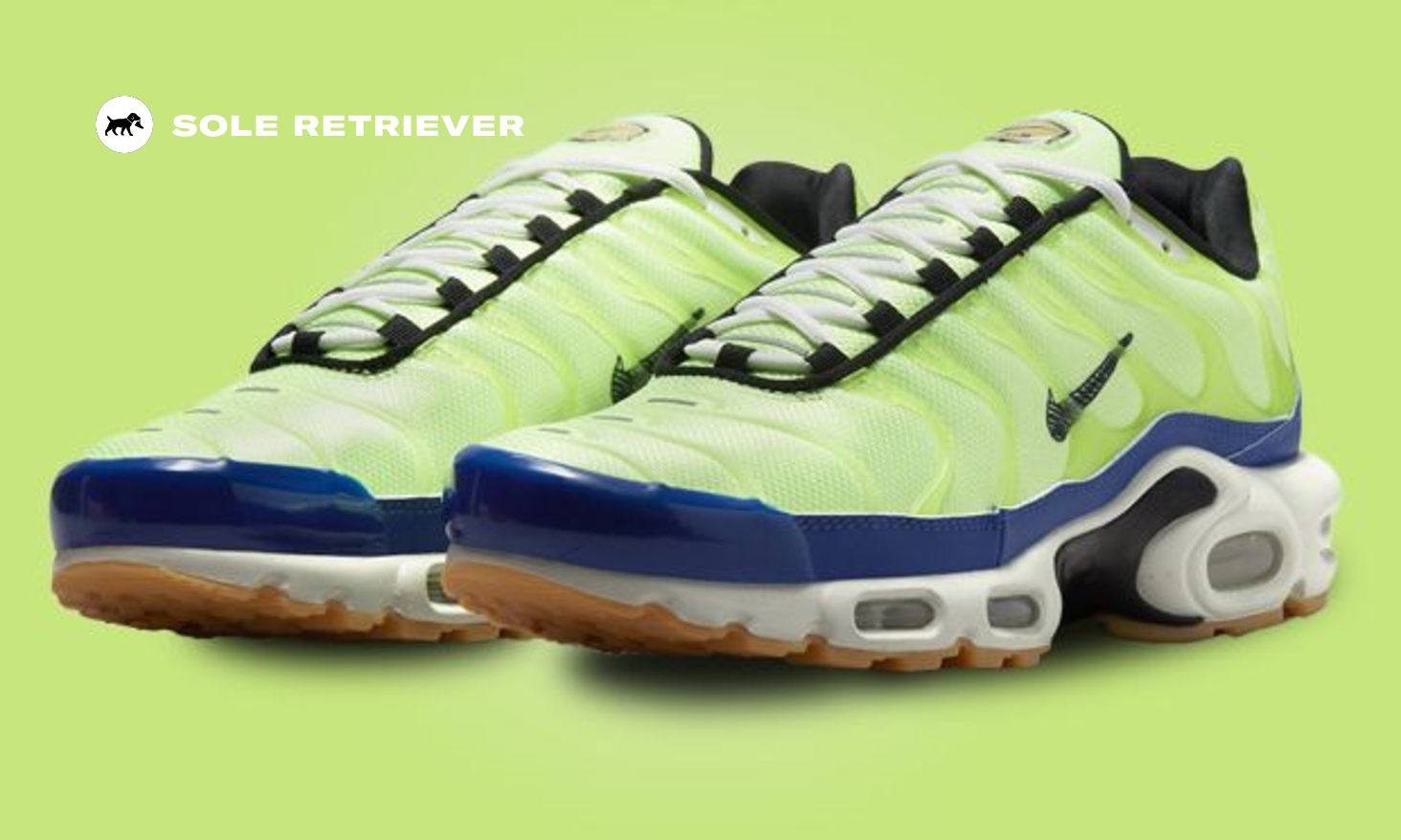 NIKE★AIR MAX PLUS SE★M. Frank Rudy★GHOST GREEN nike-air-max-plus-barometer-