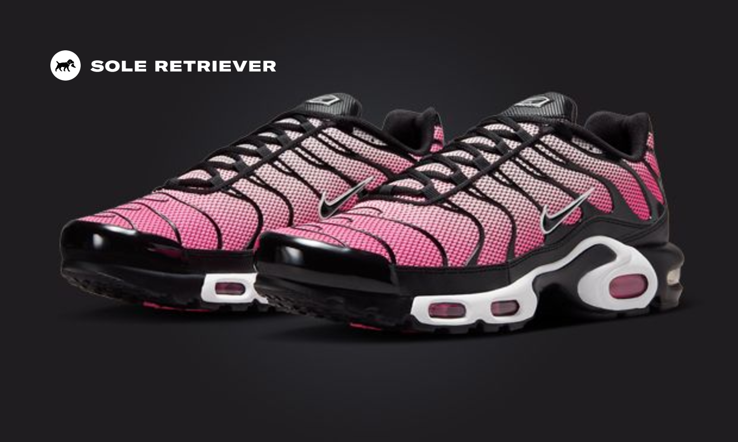 NIKE Air Max Plus ピンク US 8 nike-air-max-plus-sunset-pulse