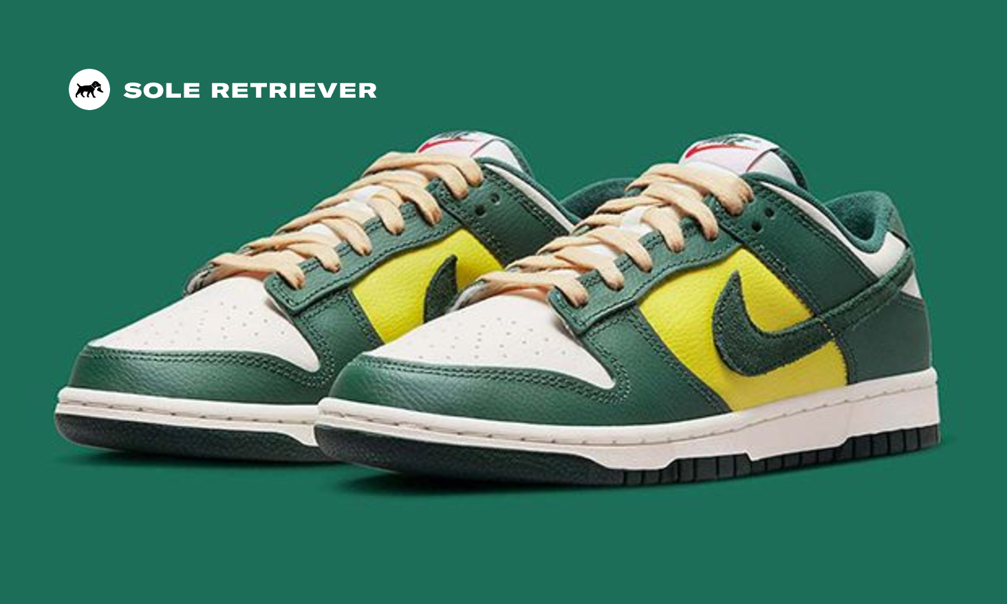 nike-dunk-low-athletic-company