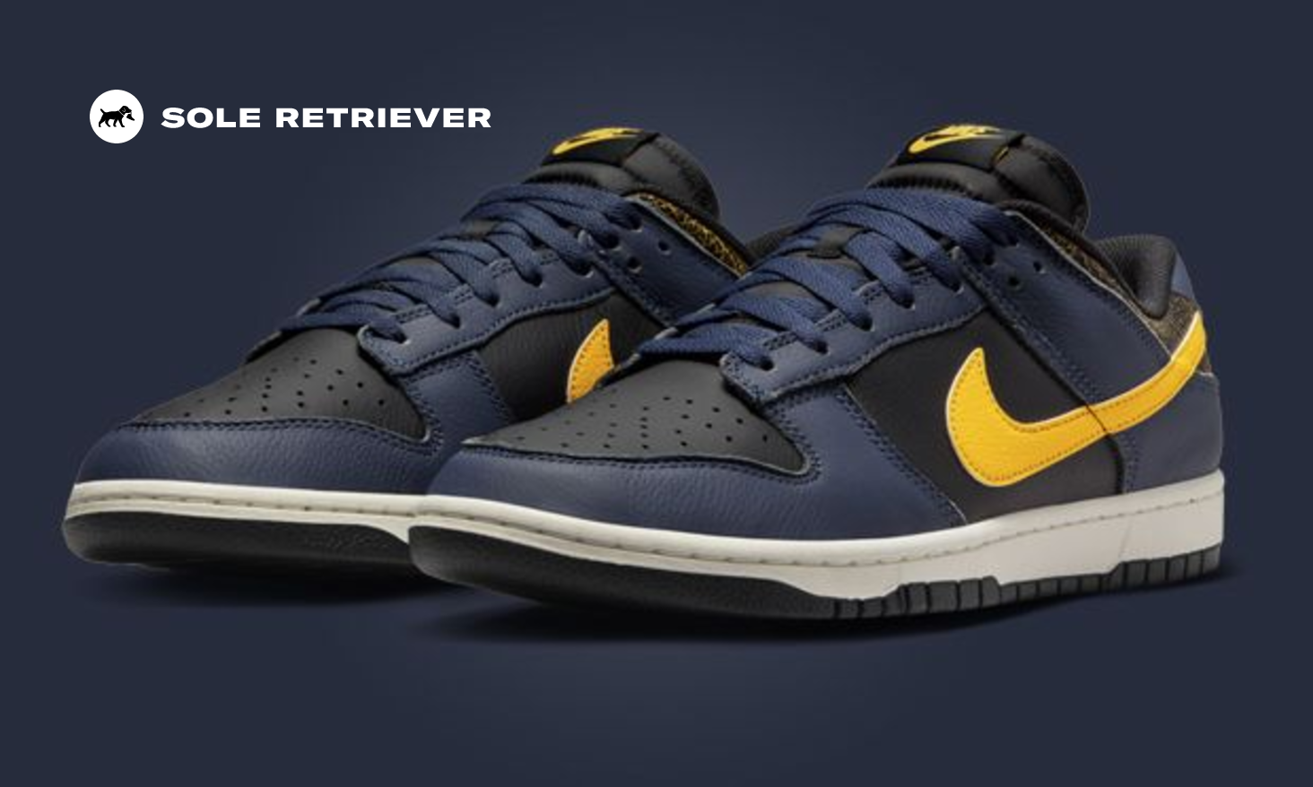 靴 Nike Dunk Low Michigan The Nike Dunk Low Black Michigan Releases February 2024