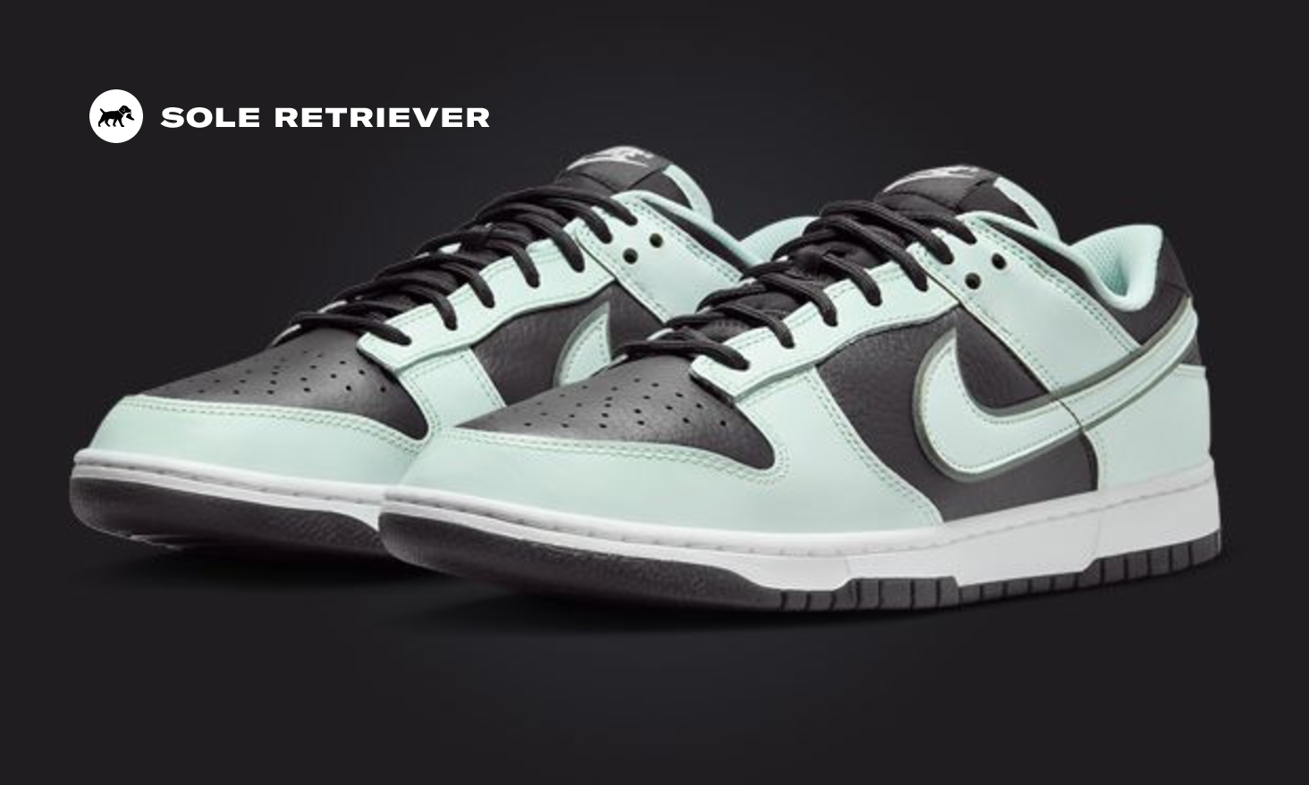 nike-dunk-low-dark-smoke-grey-